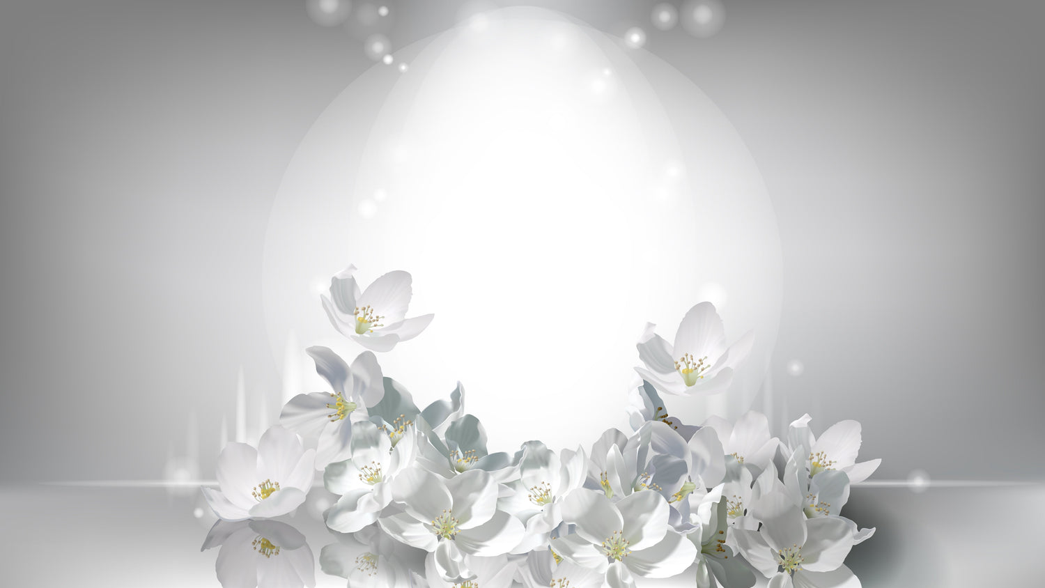 Jasmine flower